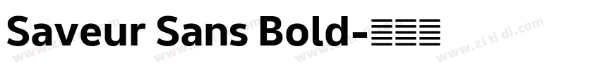 Saveur Sans Bold字体转换